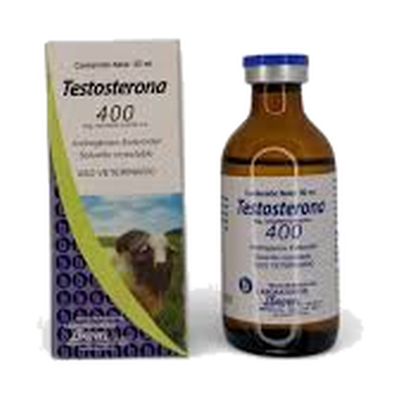Testosterona 400 Brovel